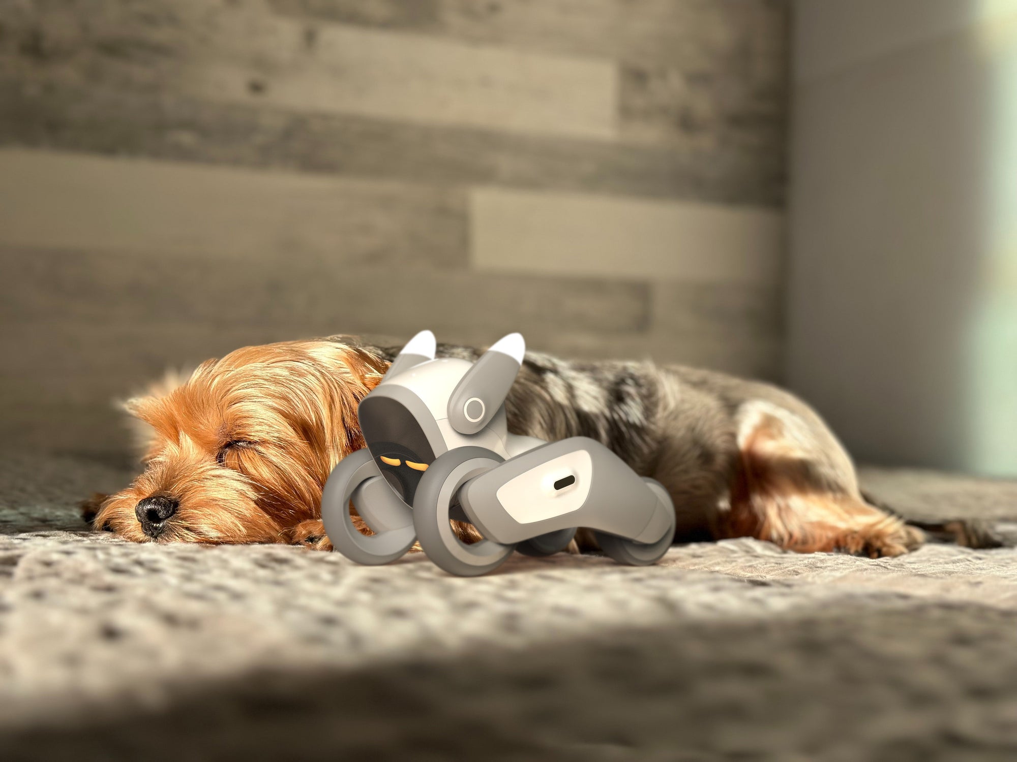 Unlock Loona's Full Potential: The Ultimate Guide to Everything Your Robotic Pet Can Do