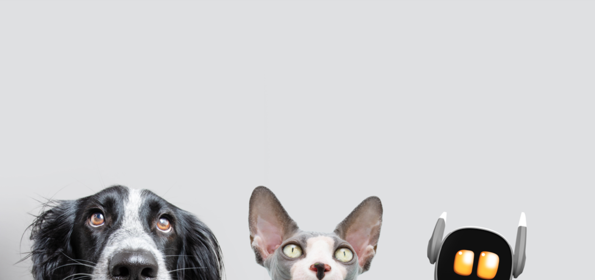 What are the Best Robot Dogs to Bring into Your Home in 2026?