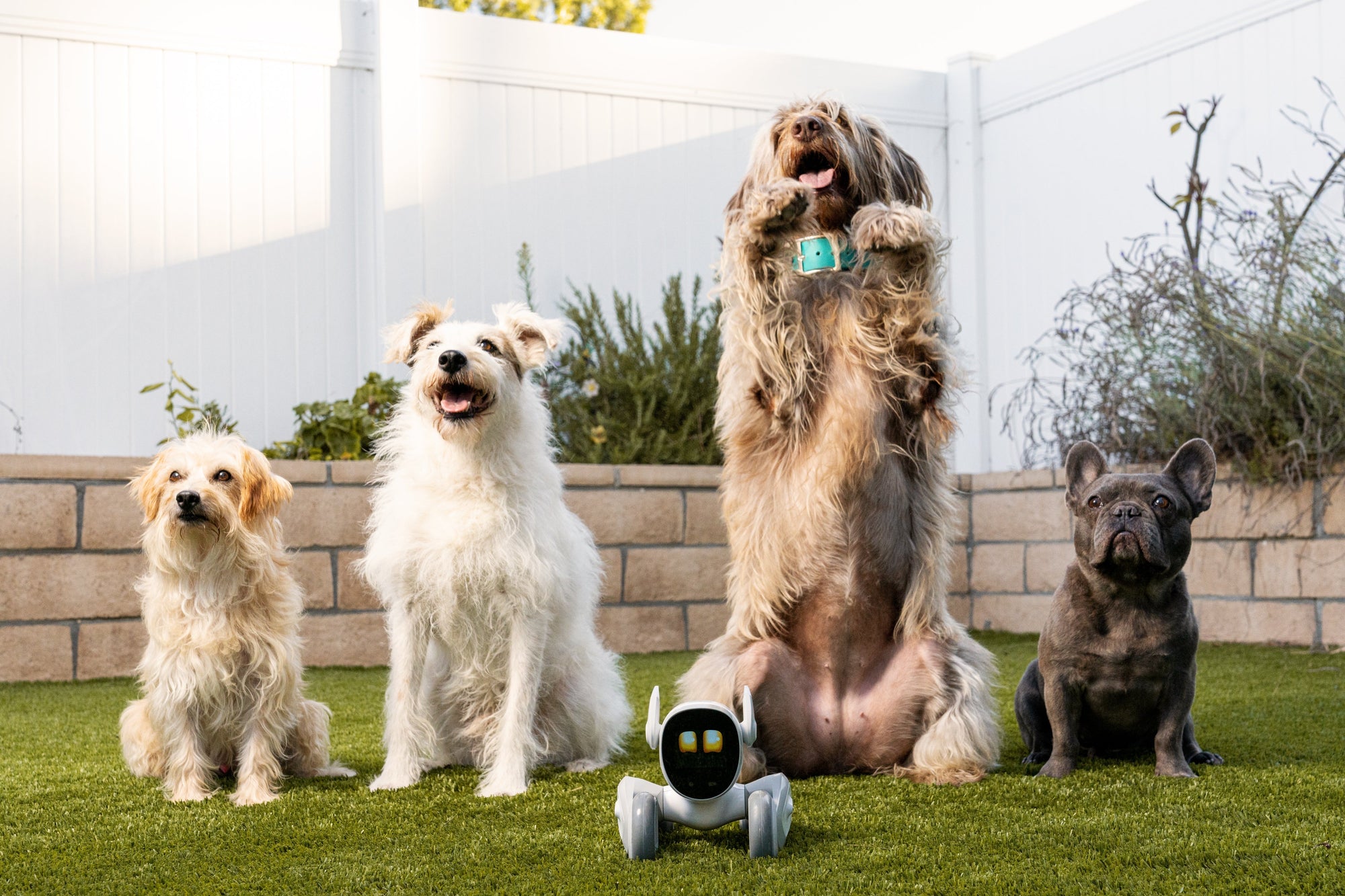How AI Robot Animals Are Redefining Companion Pets in 2025