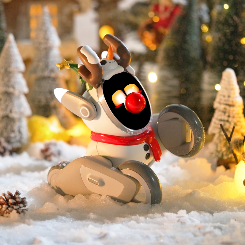 Product Introduction