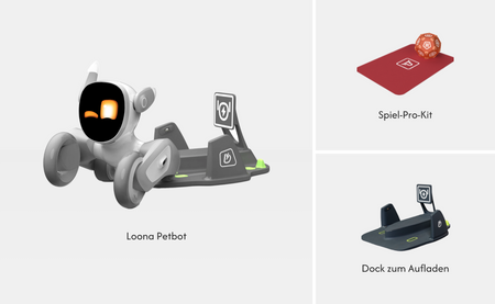 Loona The PETBOT & アクセサリーセット 40_5dfb9cd1-7539-4394-93d2-