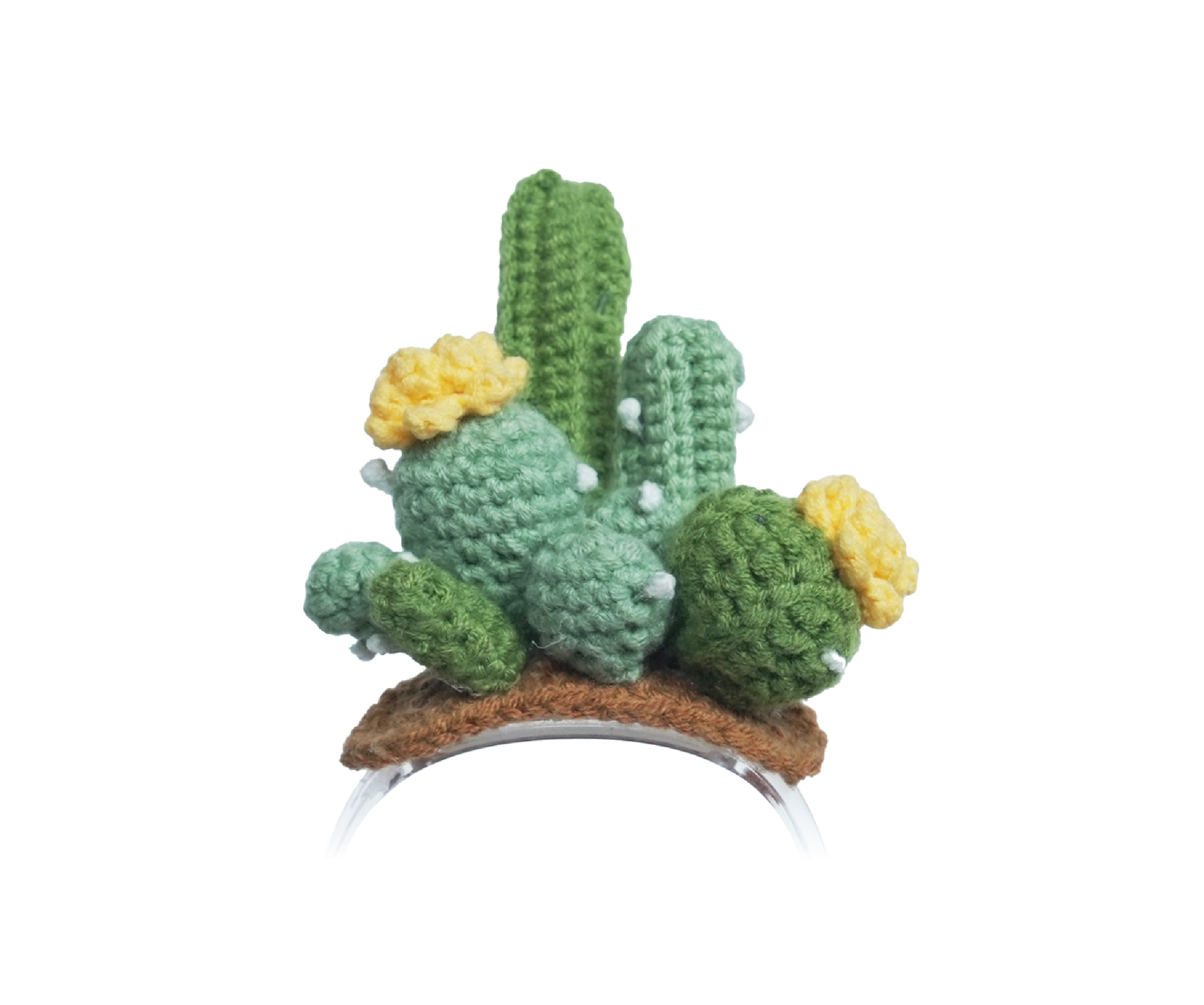 Spiky Siesta
