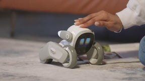 Loona Haustier-Roboter